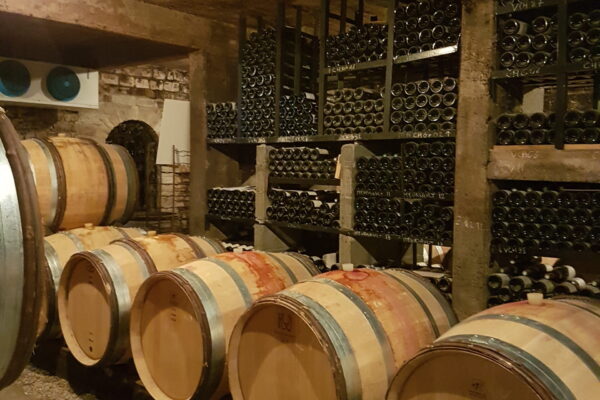 Wine barrels in a cellar